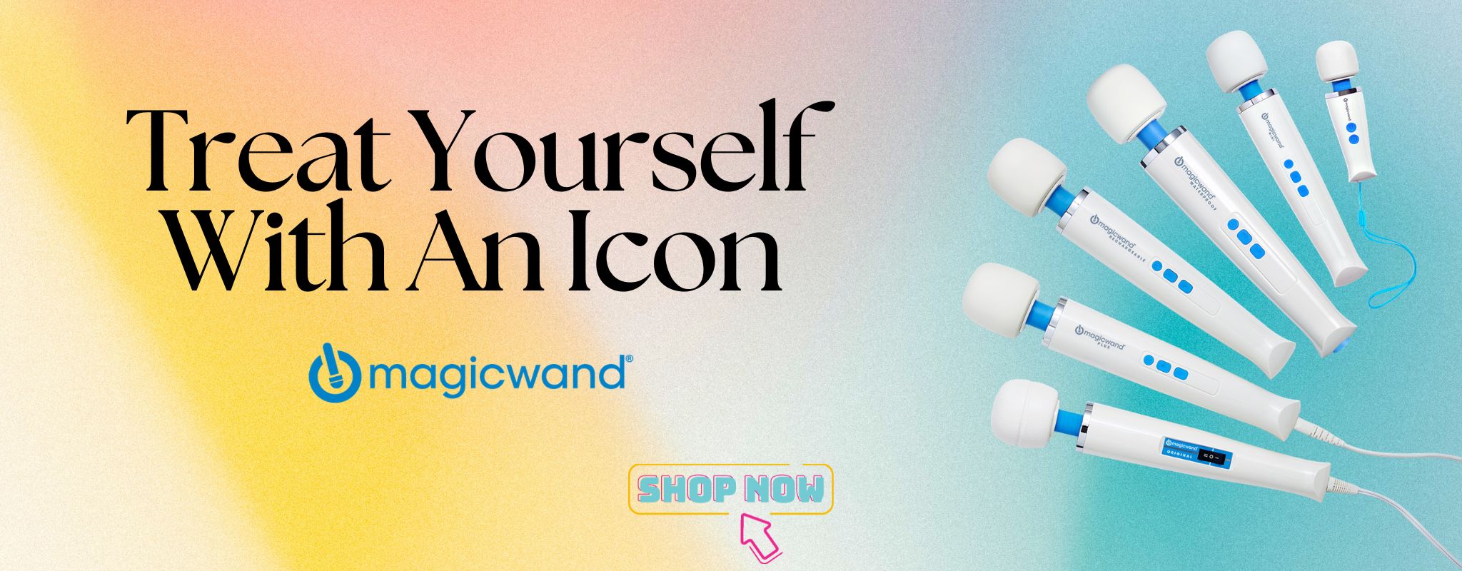Hitachi Magic Wand